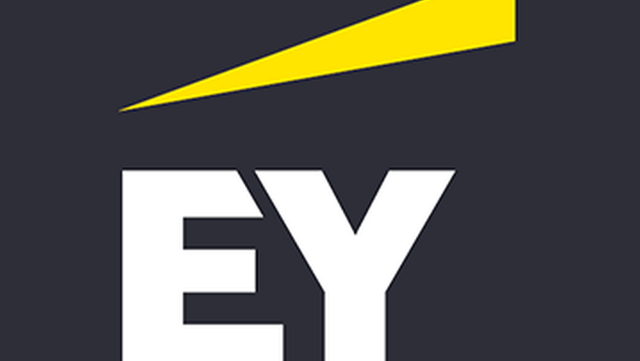 Mit üzen a NAV új ellenőrzési terve a vállalatoknak? – EY elemzés